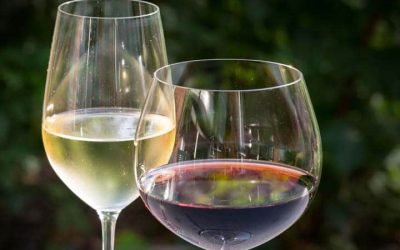 Cómo saber si un vino está estropeado