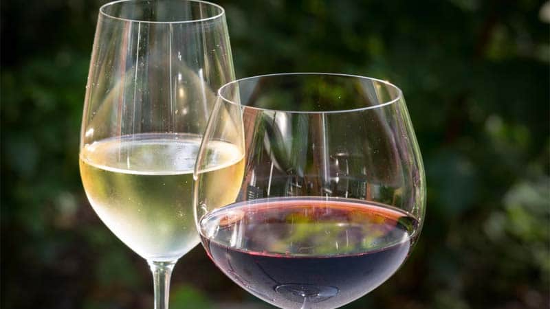 Cómo saber si un vino está estropeado