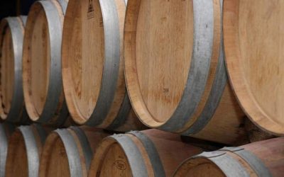 Las Maderas de Roble más Apreciadas para el Almacenaje del Vino